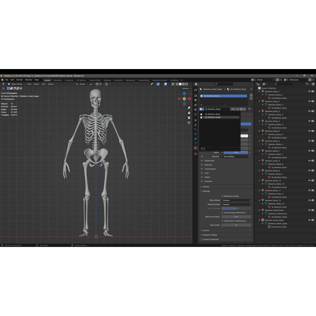 Skeleton 3D Model – Low Poly Game Asset, FBX & Blender Formats - View 21