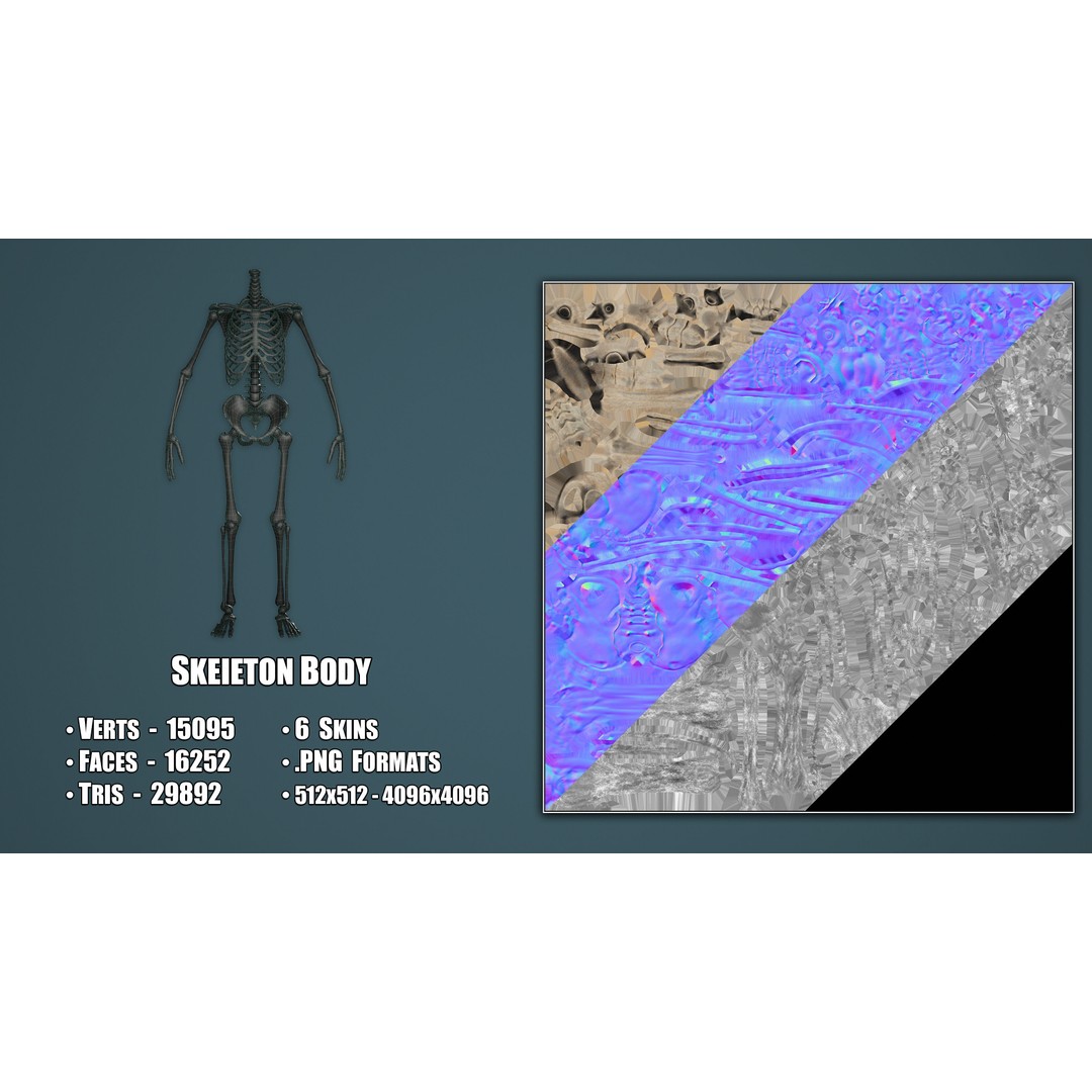 Skeleton 3D Model – Low Poly Game Asset, FBX & Blender Formats - View 4
