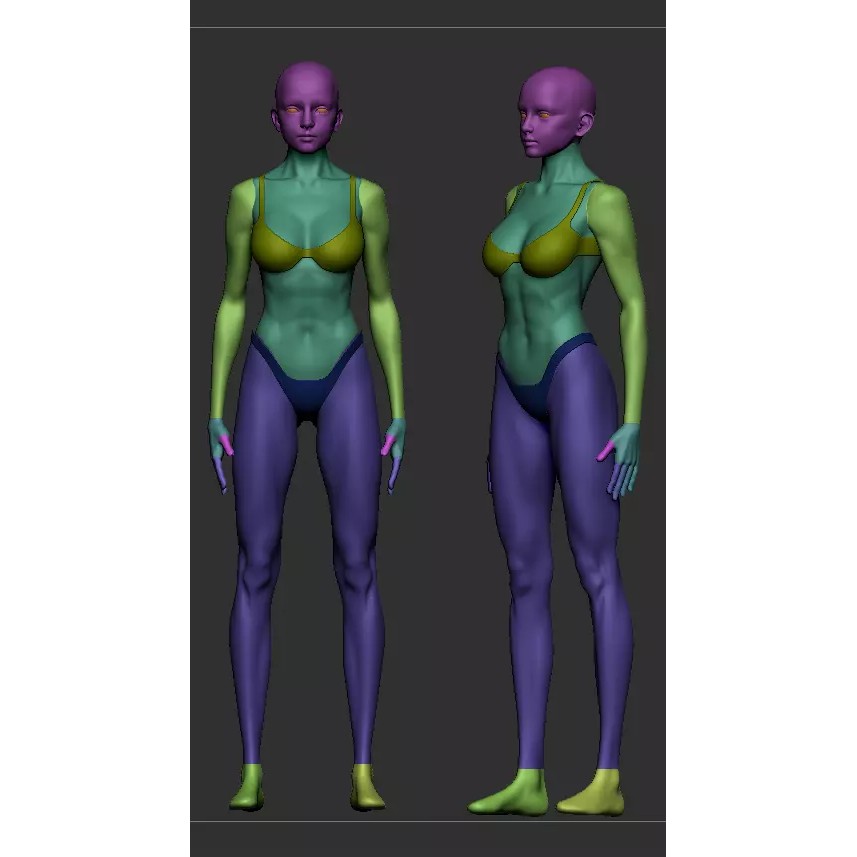 Human Base Mesh 3D Model – Male & Female Character Creation