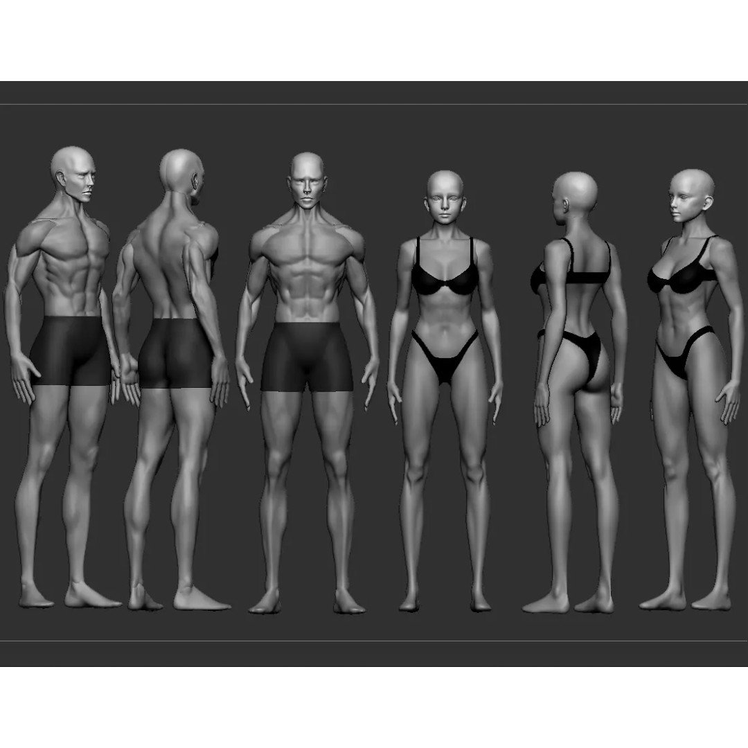 Human Base Mesh 3D Model – Male & Female Character Creation - View 2