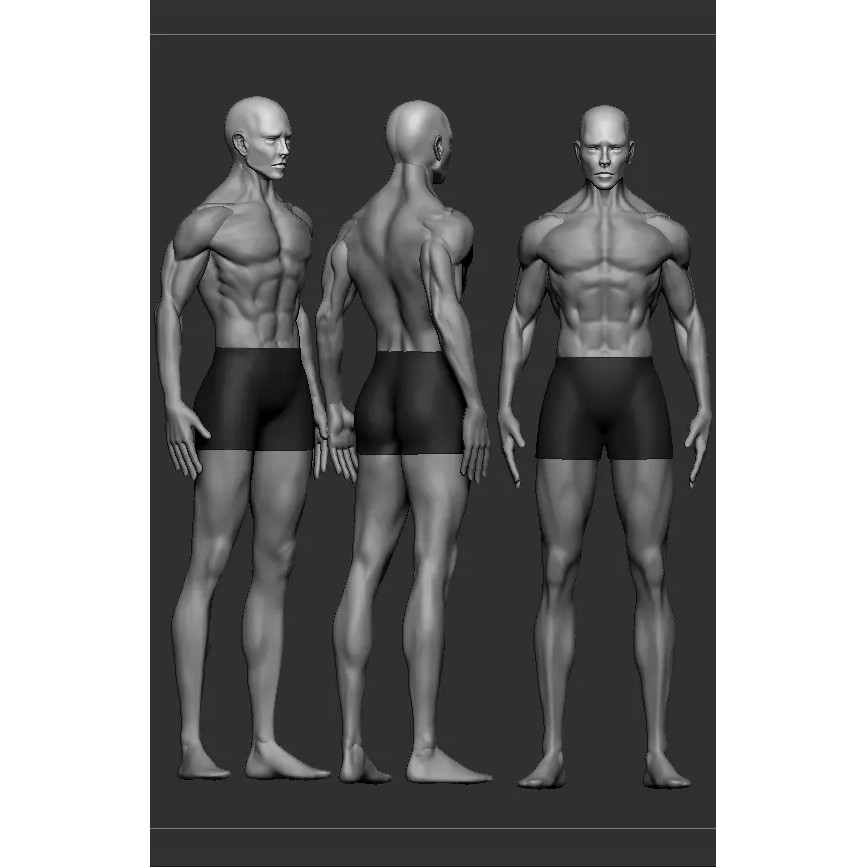 Human Base Mesh 3D Model – Male & Female Character Creation - View 3