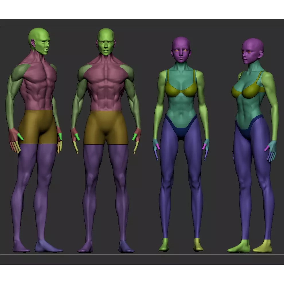 Human Base Mesh 3D Model – Male & Female Character Creation - View 5