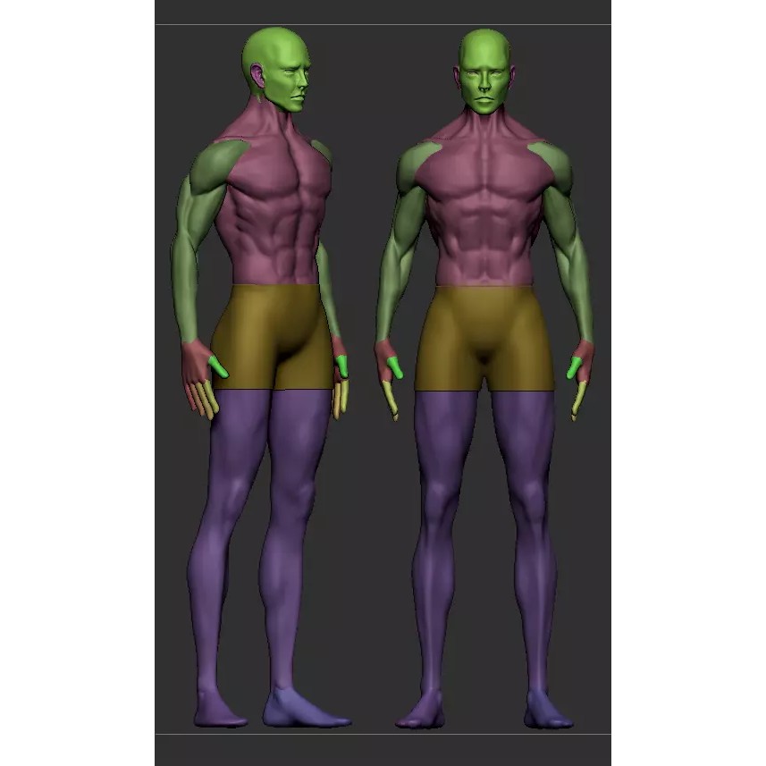 Human Base Mesh 3D Model – Male & Female Character Creation - View 6