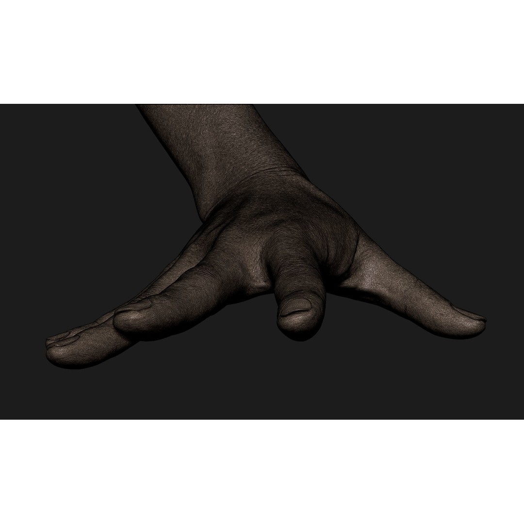Realistic Female Hand 3D Model – High Poly Sculpt for Printing