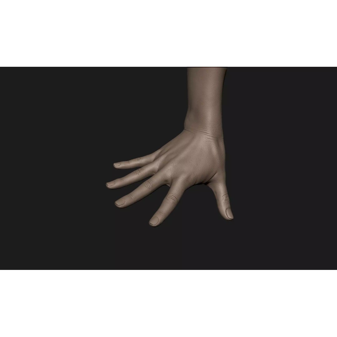Realistic Female Hand 3D Model – High Poly Sculpt for Printing - View 2