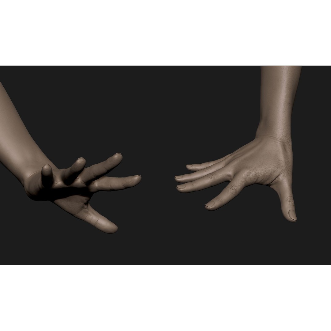 Realistic Female Hand 3D Model – High Poly Sculpt for Printing - View 3