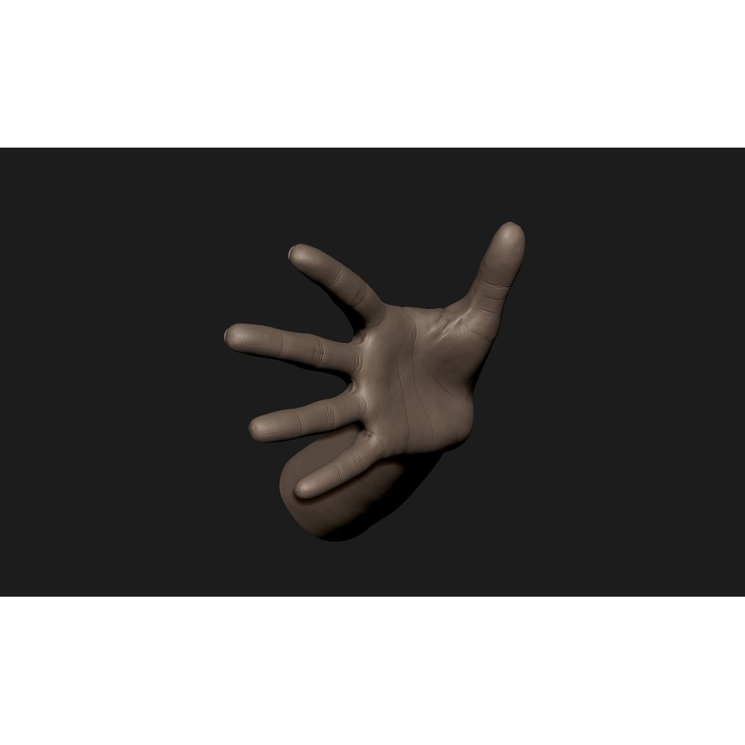 Realistic Female Hand 3D Model – High Poly Sculpt for Printing - View 4