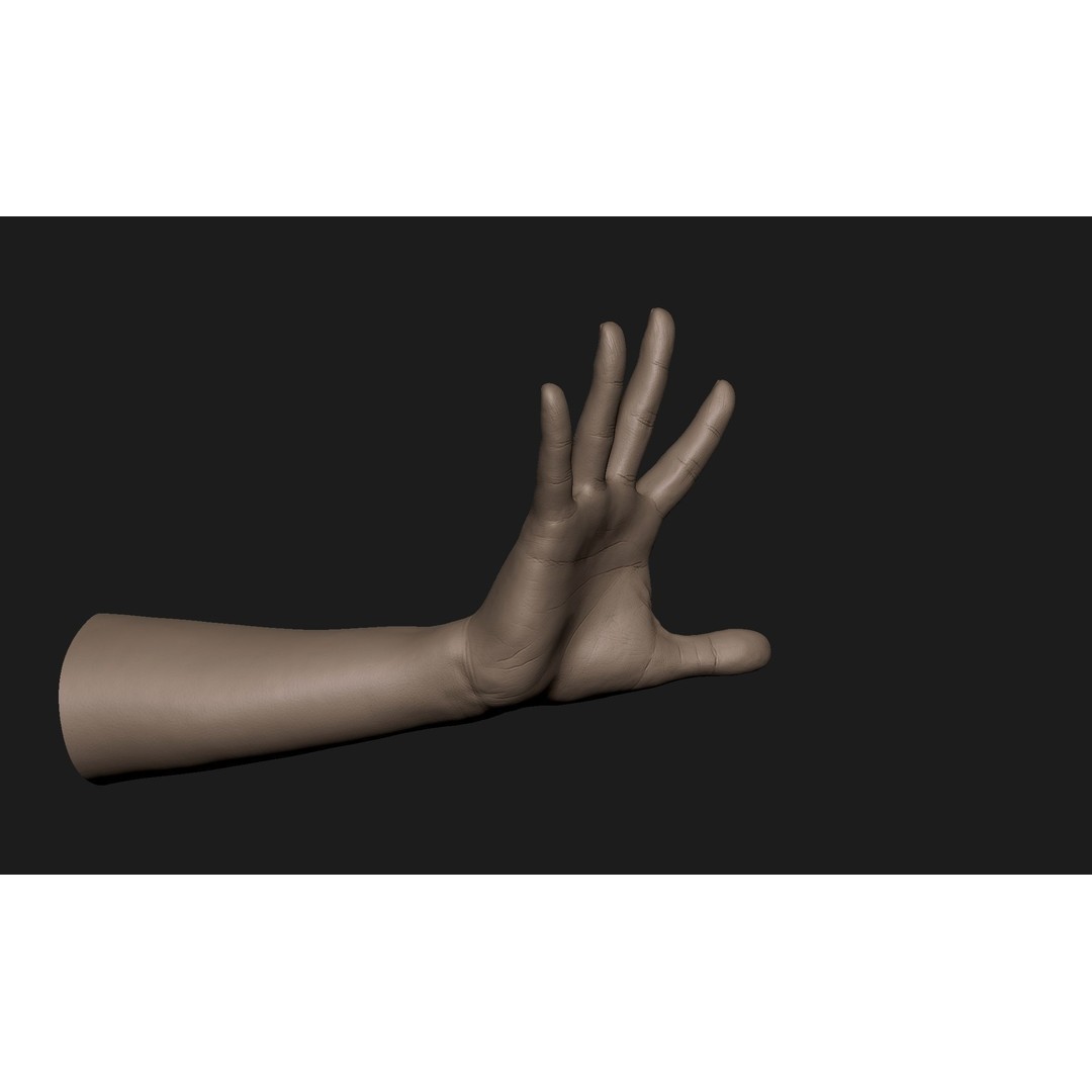 Realistic Female Hand 3D Model – High Poly Sculpt for Printing - View 5