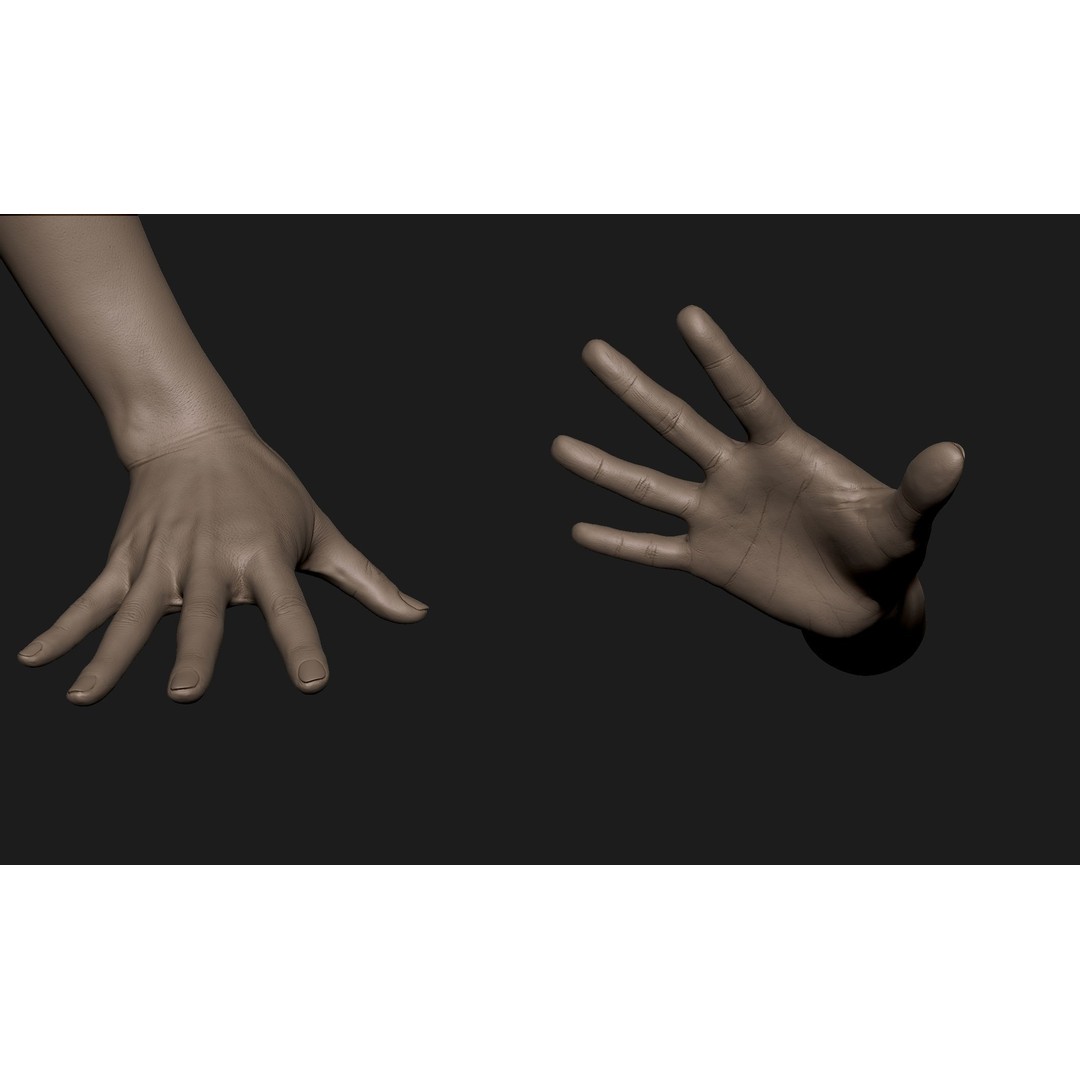 Realistic Female Hand 3D Model – High Poly Sculpt for Printing - View 6