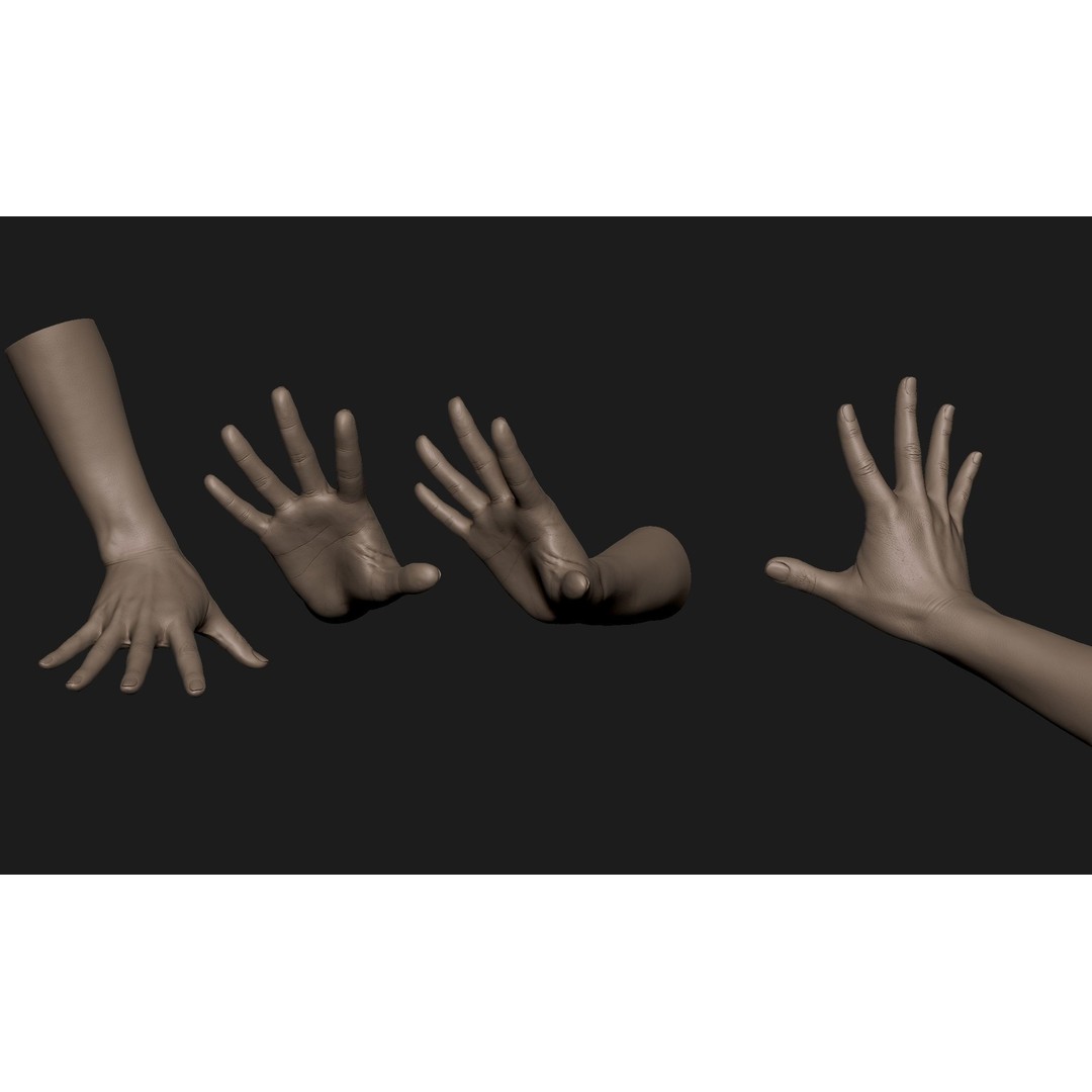 Realistic Female Hand 3D Model – High Poly Sculpt for Printing - View 7