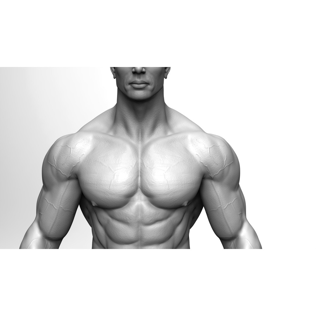 Male Bodybuilder 3D Model – High Poly Game-Ready Character - View 5
