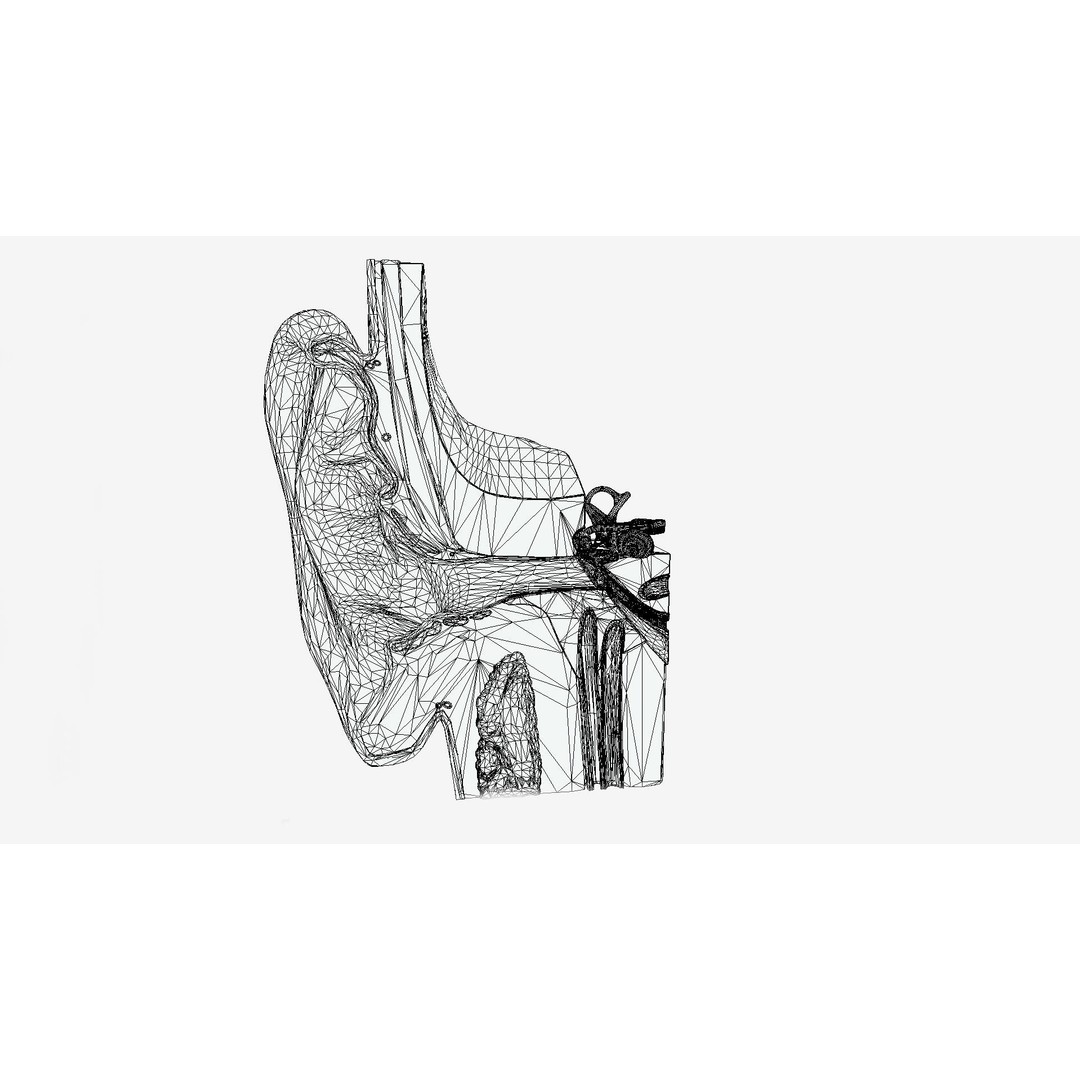 Human Ear Anatomy 3D Model – Low Poly Medical Asset, Blender, FBX