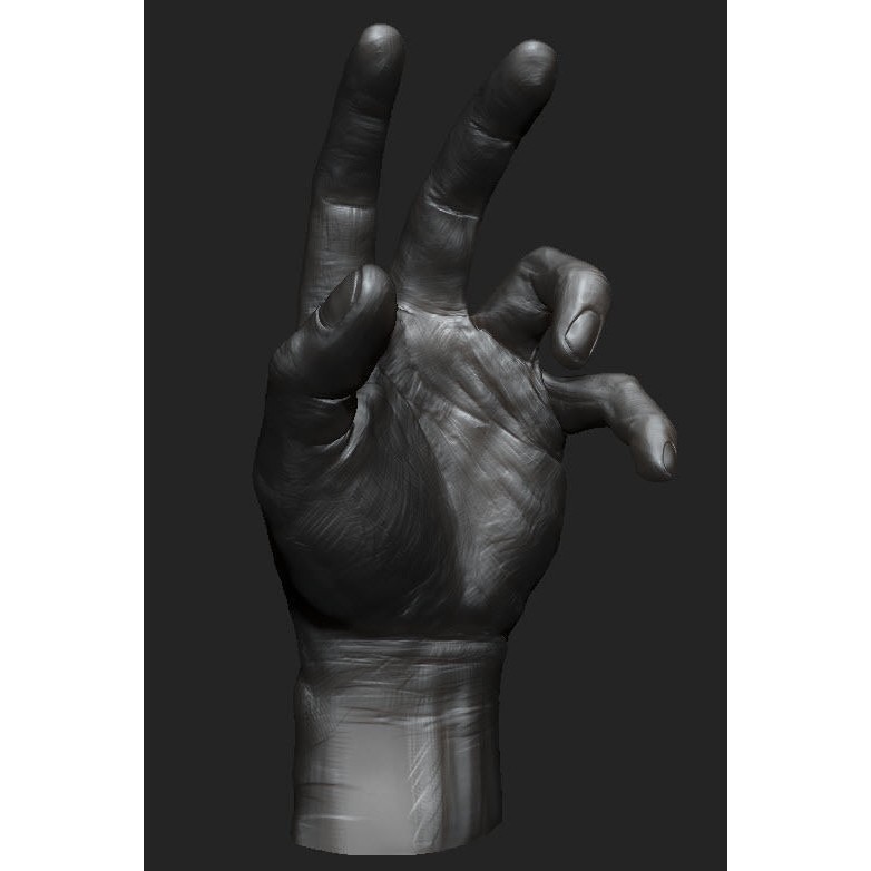 Hand Anatomy 3D Model – Decimated Study Asset, Print Ready