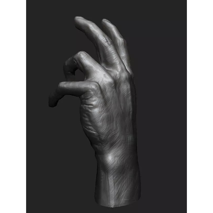 Hand Anatomy 3D Model – Decimated Study Asset, Print Ready - View 2