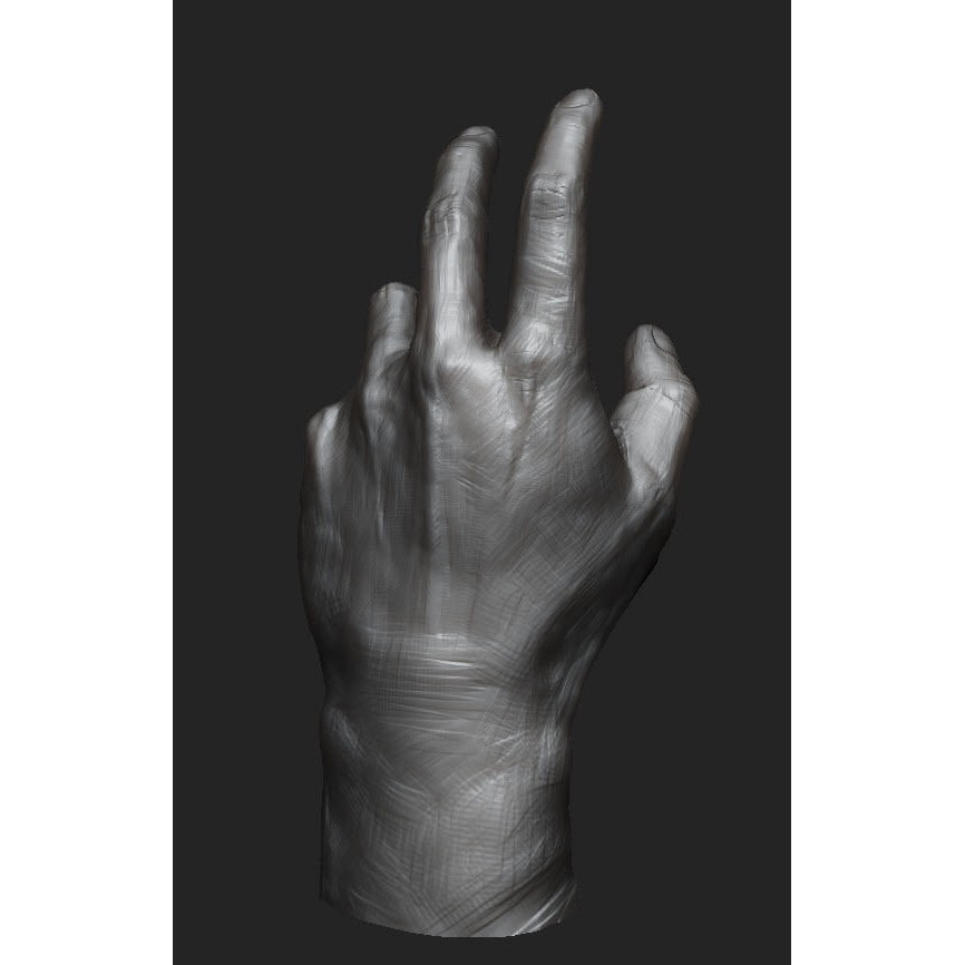 Hand Anatomy 3D Model – Decimated Study Asset, Print Ready - View 3