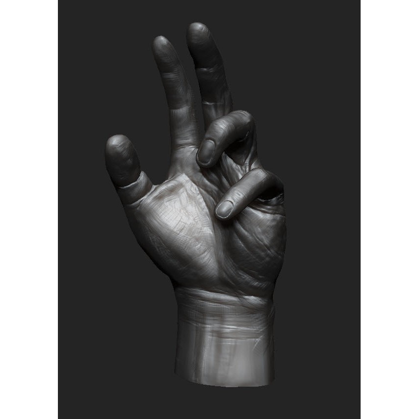 Hand Anatomy 3D Model – Decimated Study Asset, Print Ready - View 4