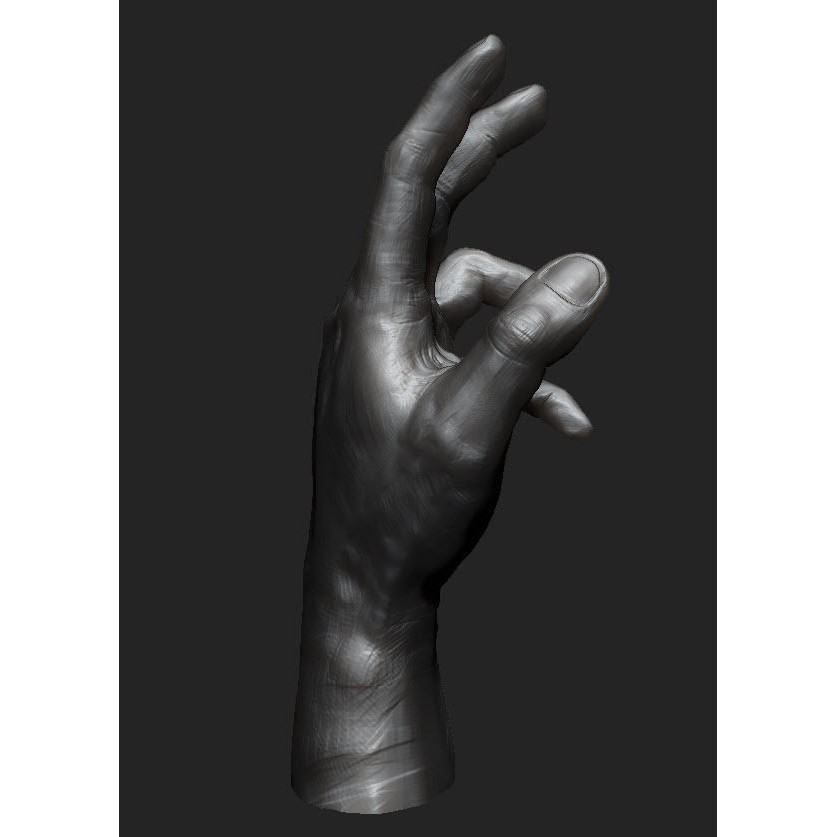 Hand Anatomy 3D Model – Decimated Study Asset, Print Ready - View 5
