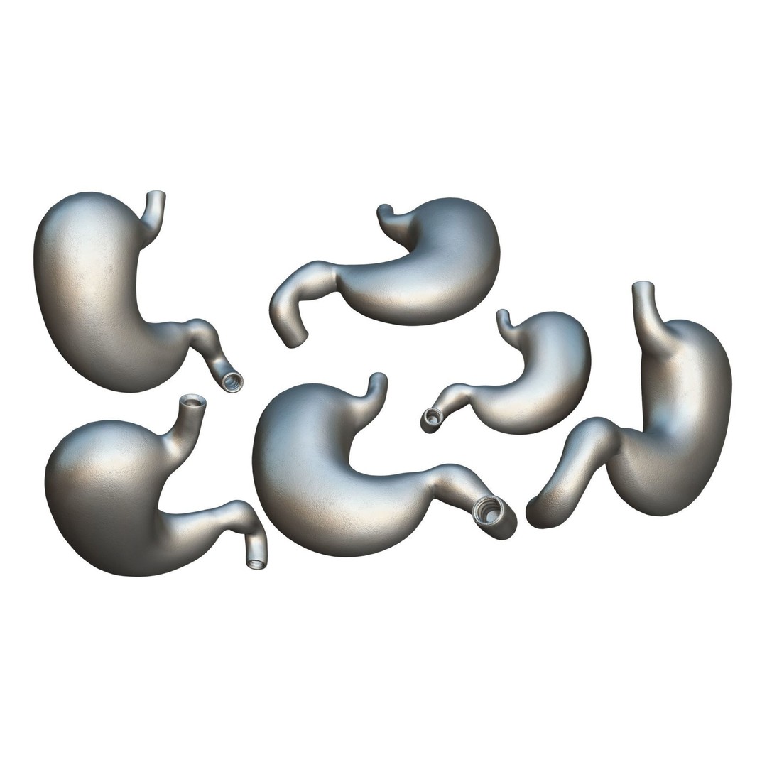 Stomach 3D Model – Detailed Human Anatomy Asset, FBX, PBR - View 12