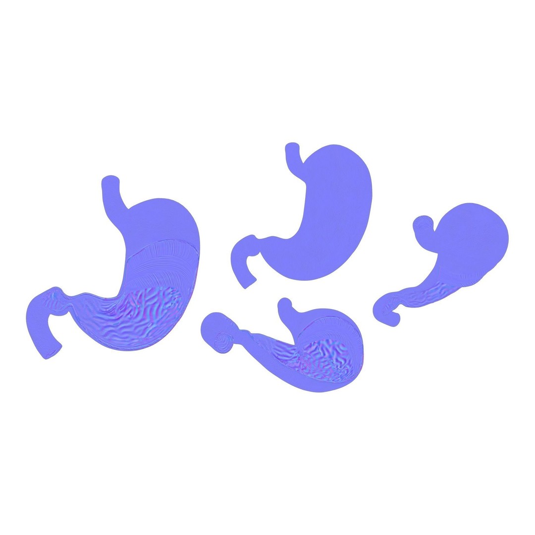 Stomach 3D Model – Detailed Human Anatomy Asset, FBX, PBR - View 9