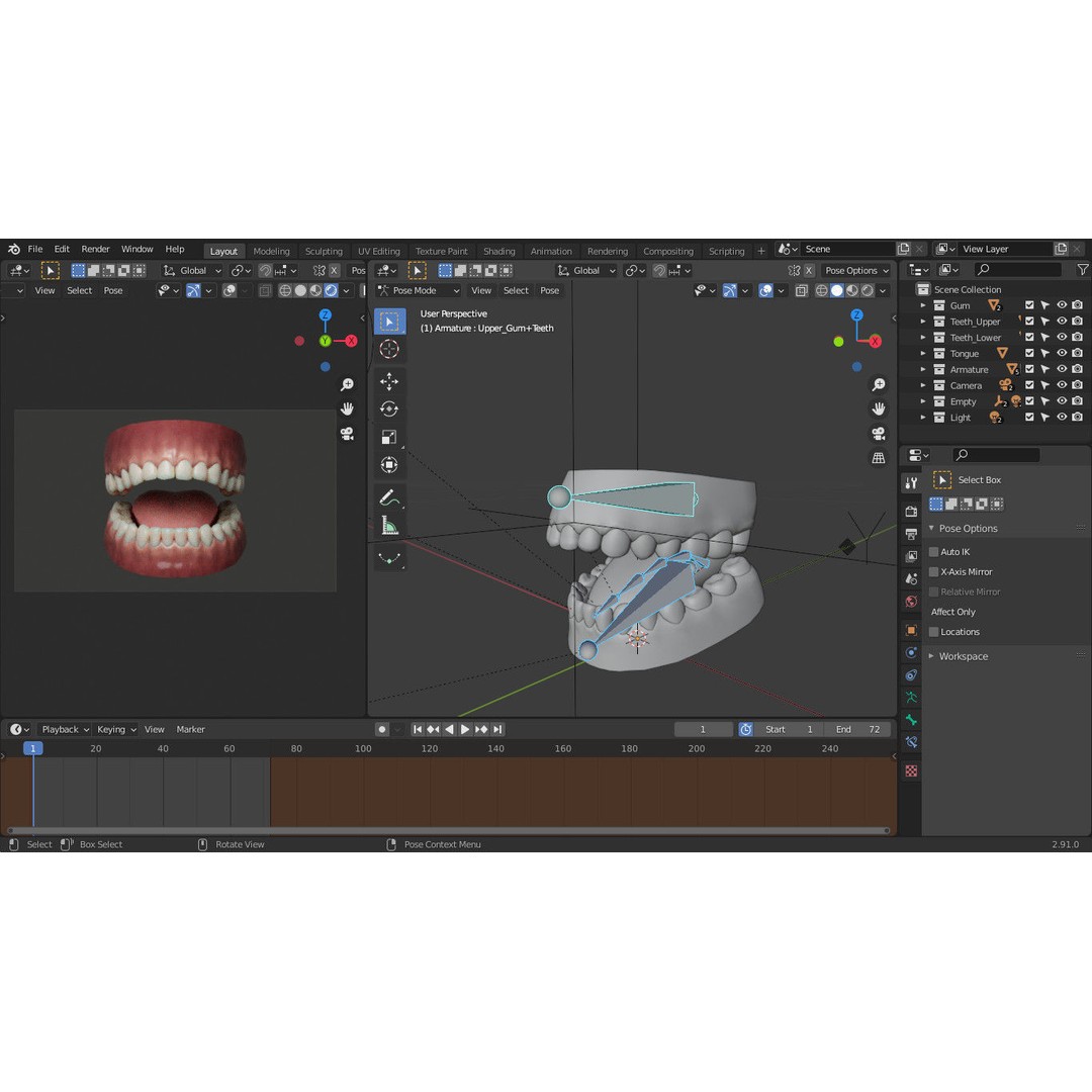 Human Teeth 3D Model – Low Poly Rigged Asset with PBR Textures