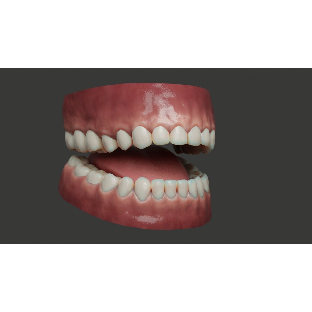 Human Teeth 3D Model – Low Poly Rigged Asset with PBR Textures - View 12
