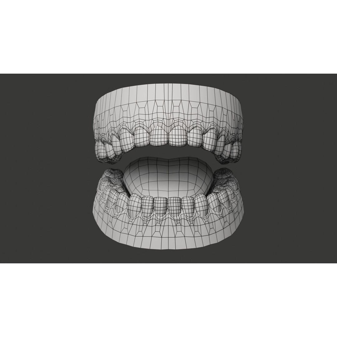 Human Teeth 3D Model – Low Poly Rigged Asset with PBR Textures - View 14