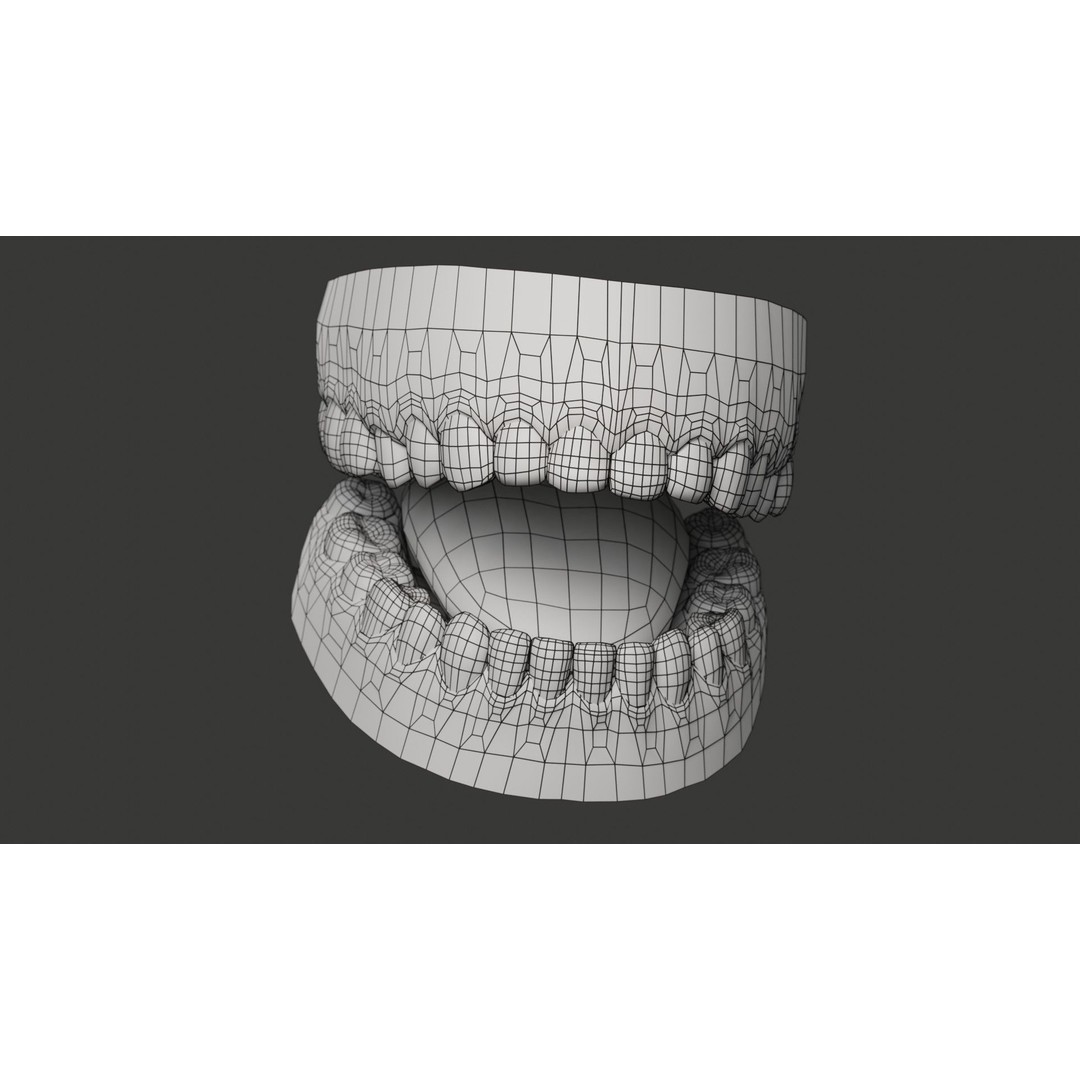 Human Teeth 3D Model – Low Poly Rigged Asset with PBR Textures - View 15
