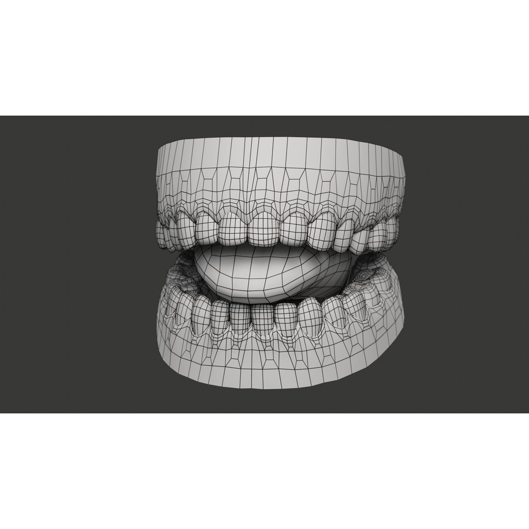 Human Teeth 3D Model – Low Poly Rigged Asset with PBR Textures - View 16