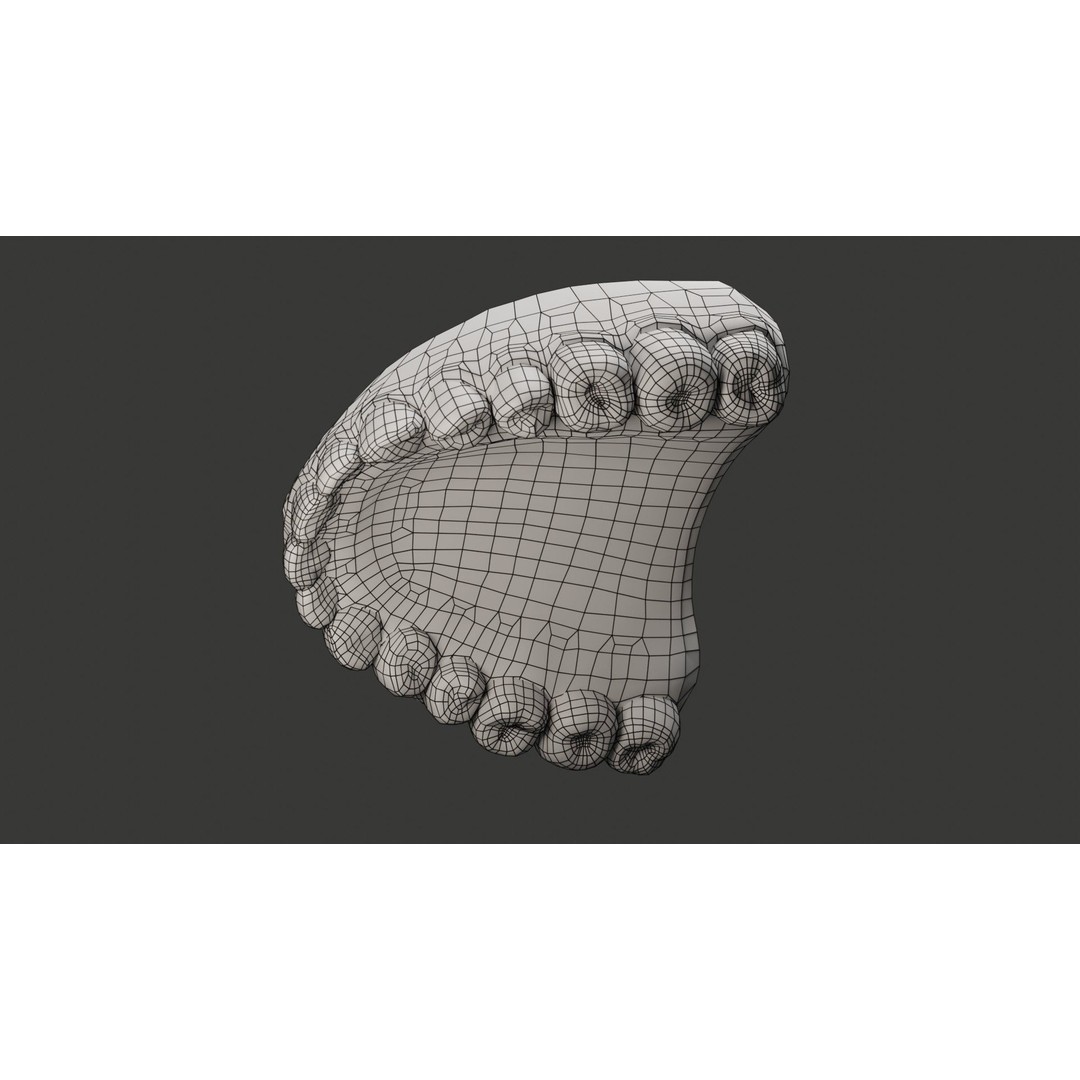 Human Teeth 3D Model – Low Poly Rigged Asset with PBR Textures - View 18