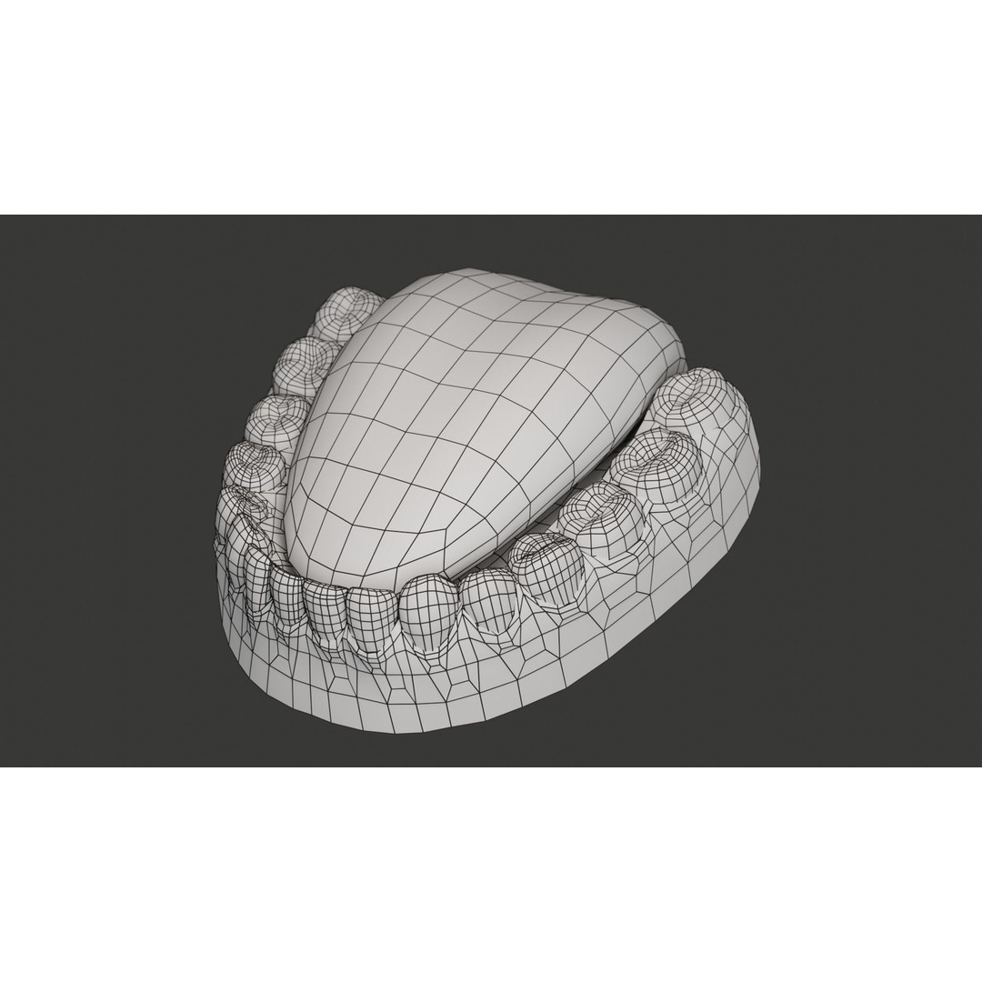 Human Teeth 3D Model – Low Poly Rigged Asset with PBR Textures - View 20