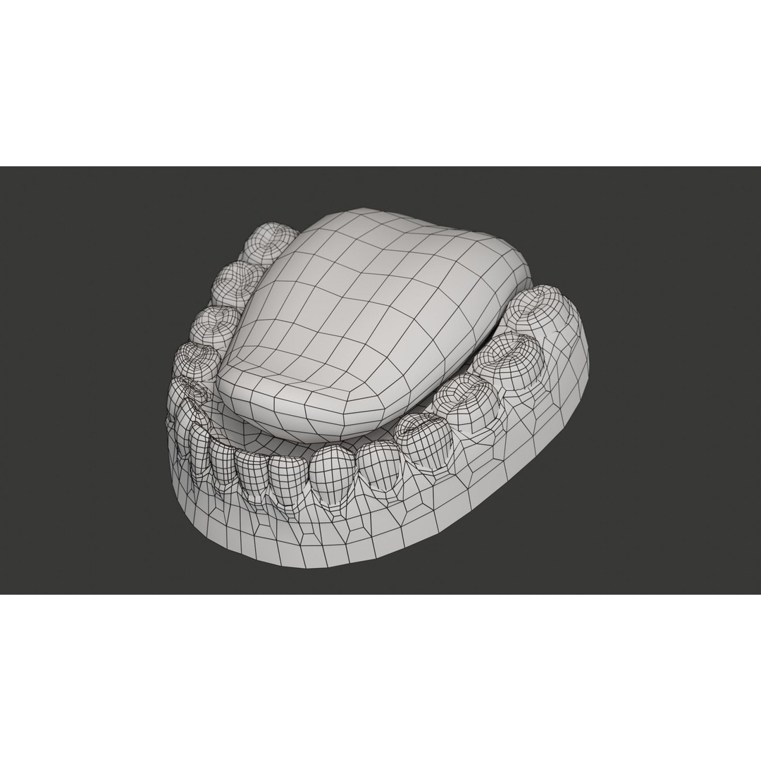Human Teeth 3D Model – Low Poly Rigged Asset with PBR Textures - View 21