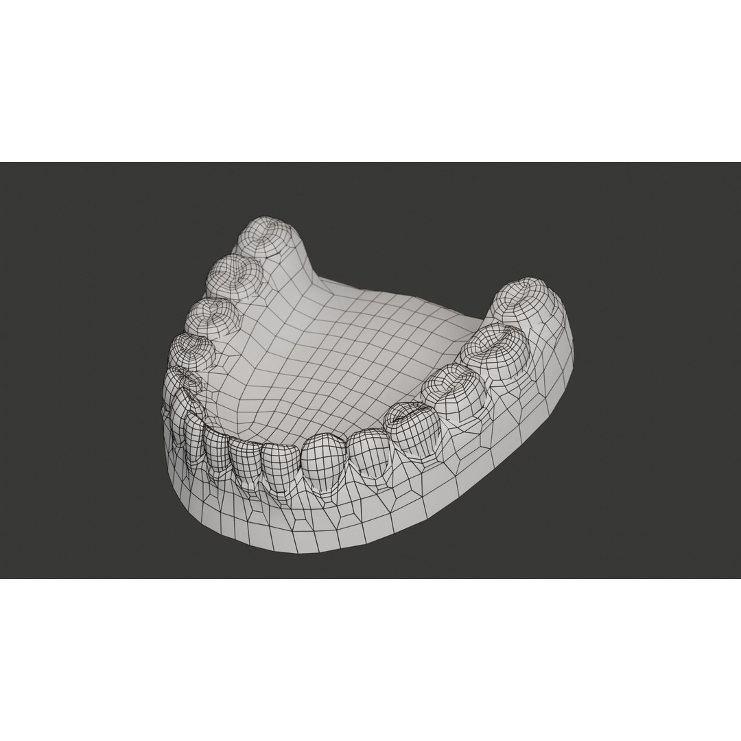 Human Teeth 3D Model – Low Poly Rigged Asset with PBR Textures - View 22