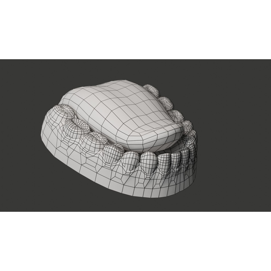 Human Teeth 3D Model – Low Poly Rigged Asset with PBR Textures - View 23
