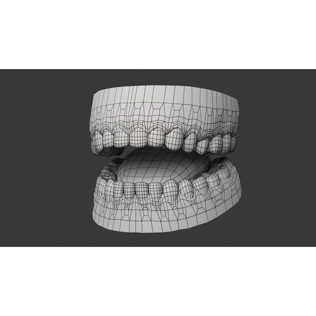 Human Teeth 3D Model – Low Poly Rigged Asset with PBR Textures - View 24