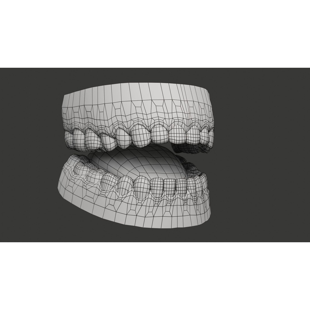 Human Teeth 3D Model – Low Poly Rigged Asset with PBR Textures - View 25