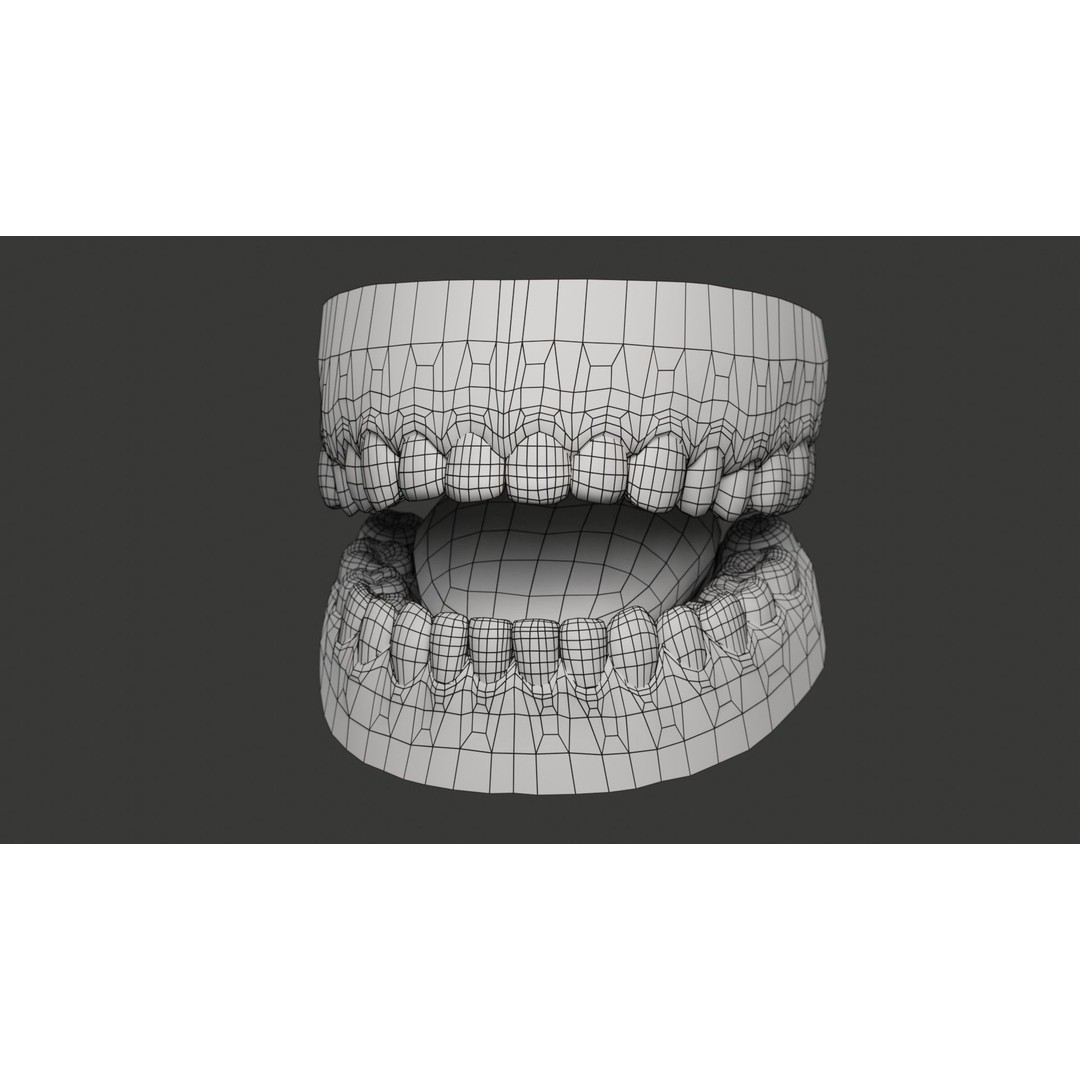 Human Teeth 3D Model – Low Poly Rigged Asset with PBR Textures - View 26