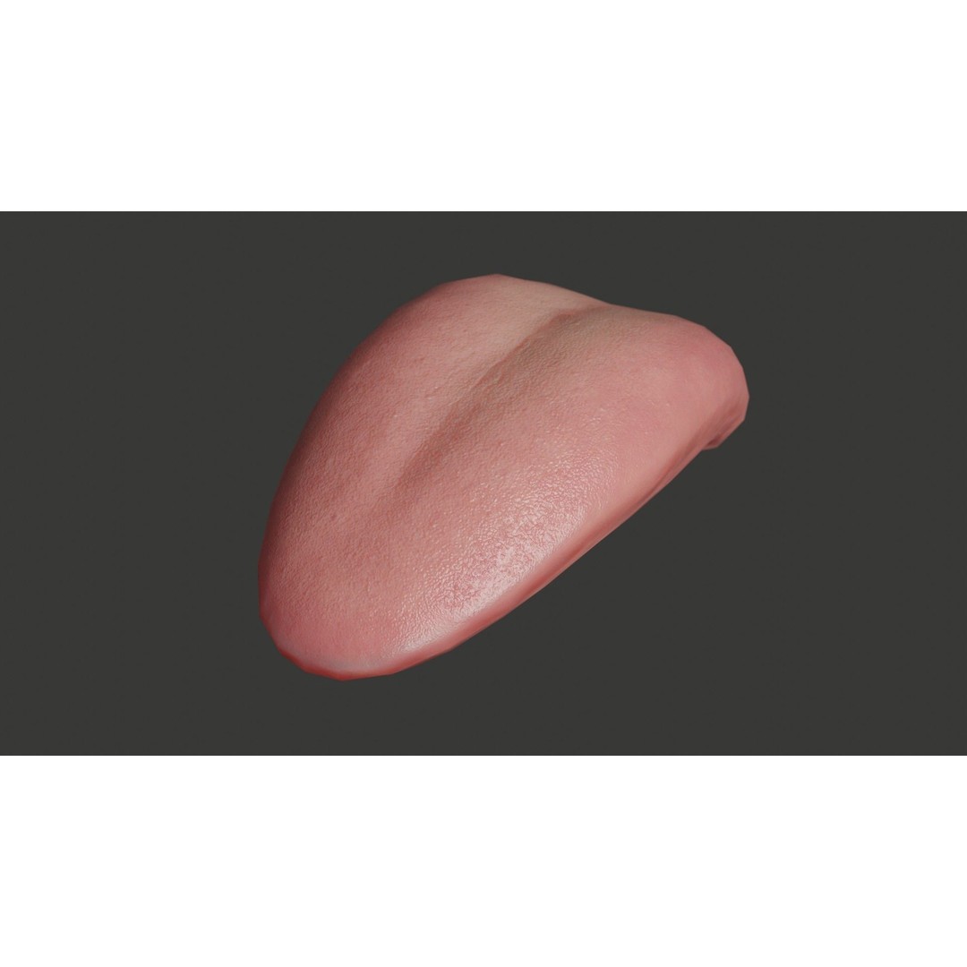 Human Teeth 3D Model – Low Poly Rigged Asset with PBR Textures - View 7