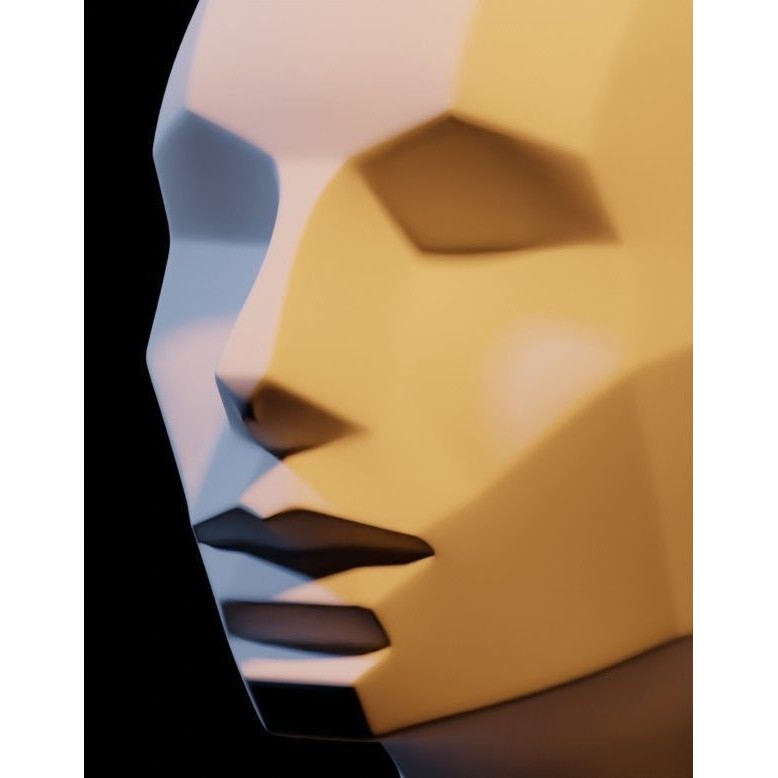 Asaro Heads Pack 3D Model – Anatomical Planes for Art Practice, Blender