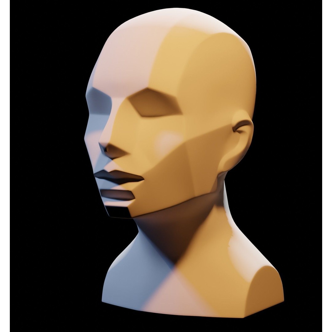 Asaro Heads Pack 3D Model – Anatomical Planes for Art Practice, Blender - View 11