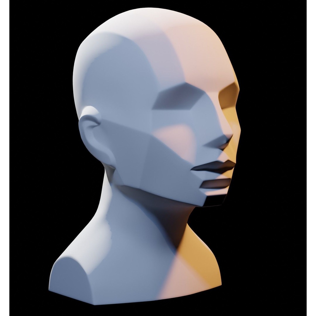 Asaro Heads Pack 3D Model – Anatomical Planes for Art Practice, Blender - View 12