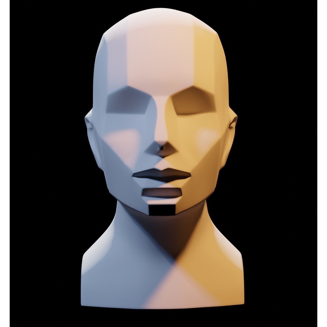Asaro Heads Pack 3D Model – Anatomical Planes for Art Practice, Blender - View 13