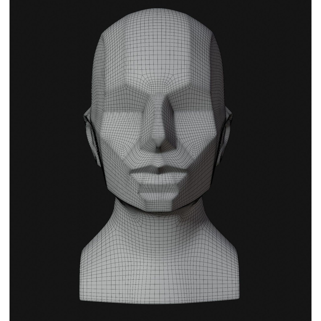Asaro Heads Pack 3D Model – Anatomical Planes for Art Practice, Blender - View 14