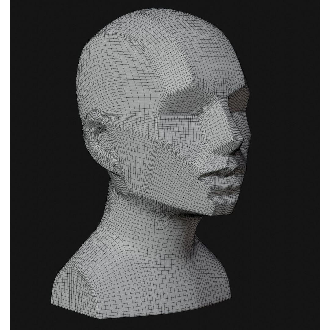 Asaro Heads Pack 3D Model – Anatomical Planes for Art Practice, Blender - View 15
