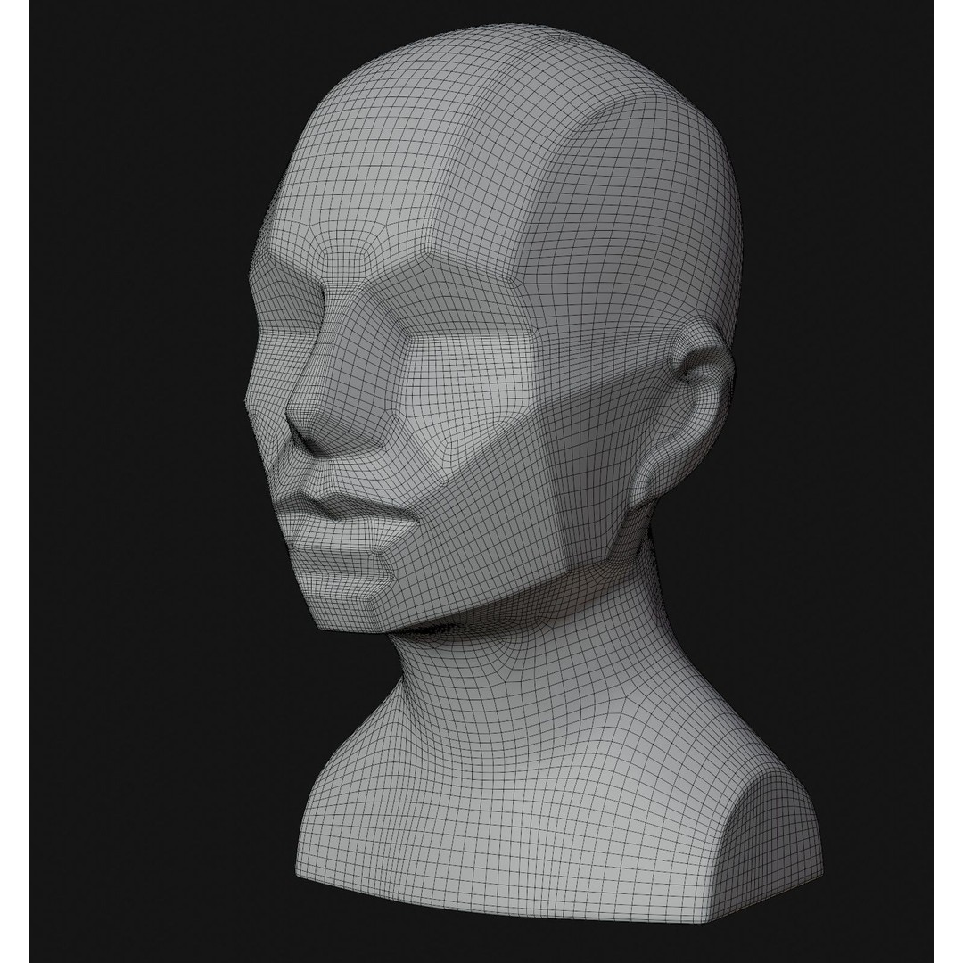 Asaro Heads Pack 3D Model – Anatomical Planes for Art Practice, Blender - View 16
