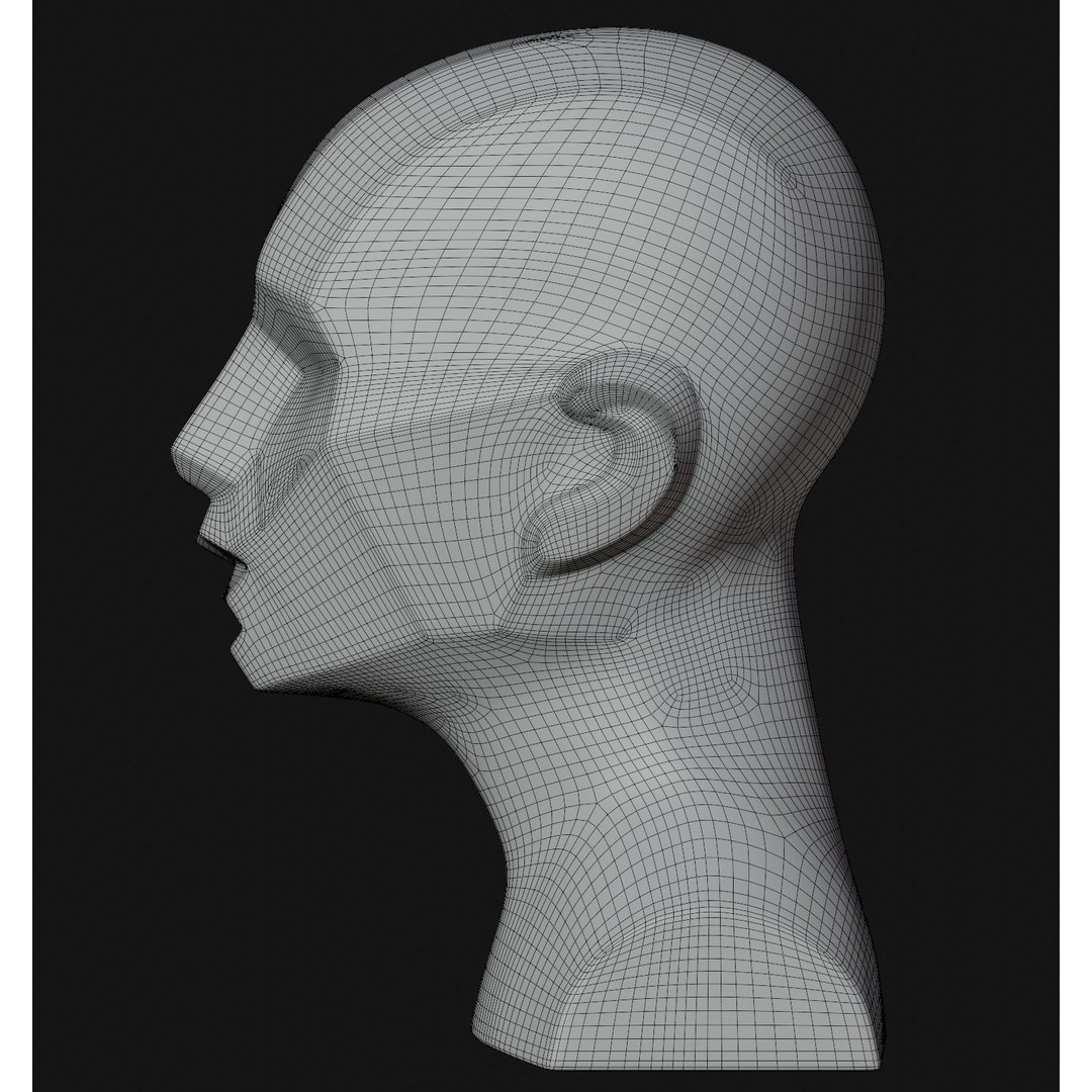 Asaro Heads Pack 3D Model – Anatomical Planes for Art Practice, Blender - View 17