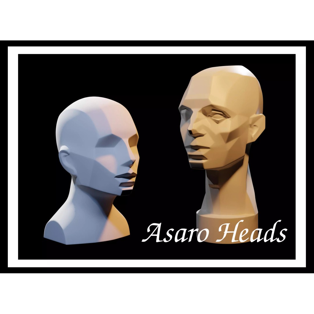 Asaro Heads Pack 3D Model – Anatomical Planes for Art Practice, Blender - View 2