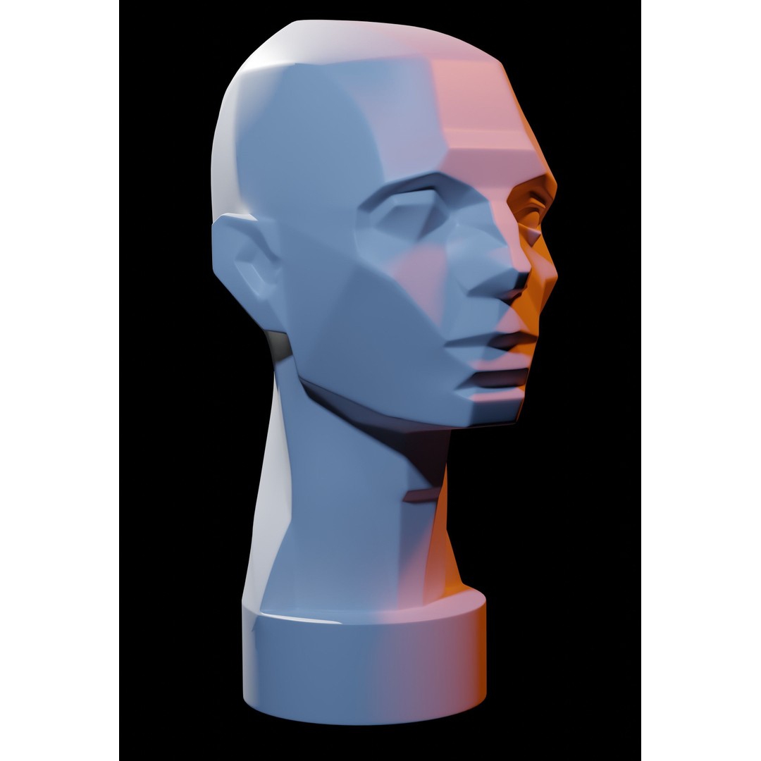 Asaro Heads Pack 3D Model – Anatomical Planes for Art Practice, Blender - View 3