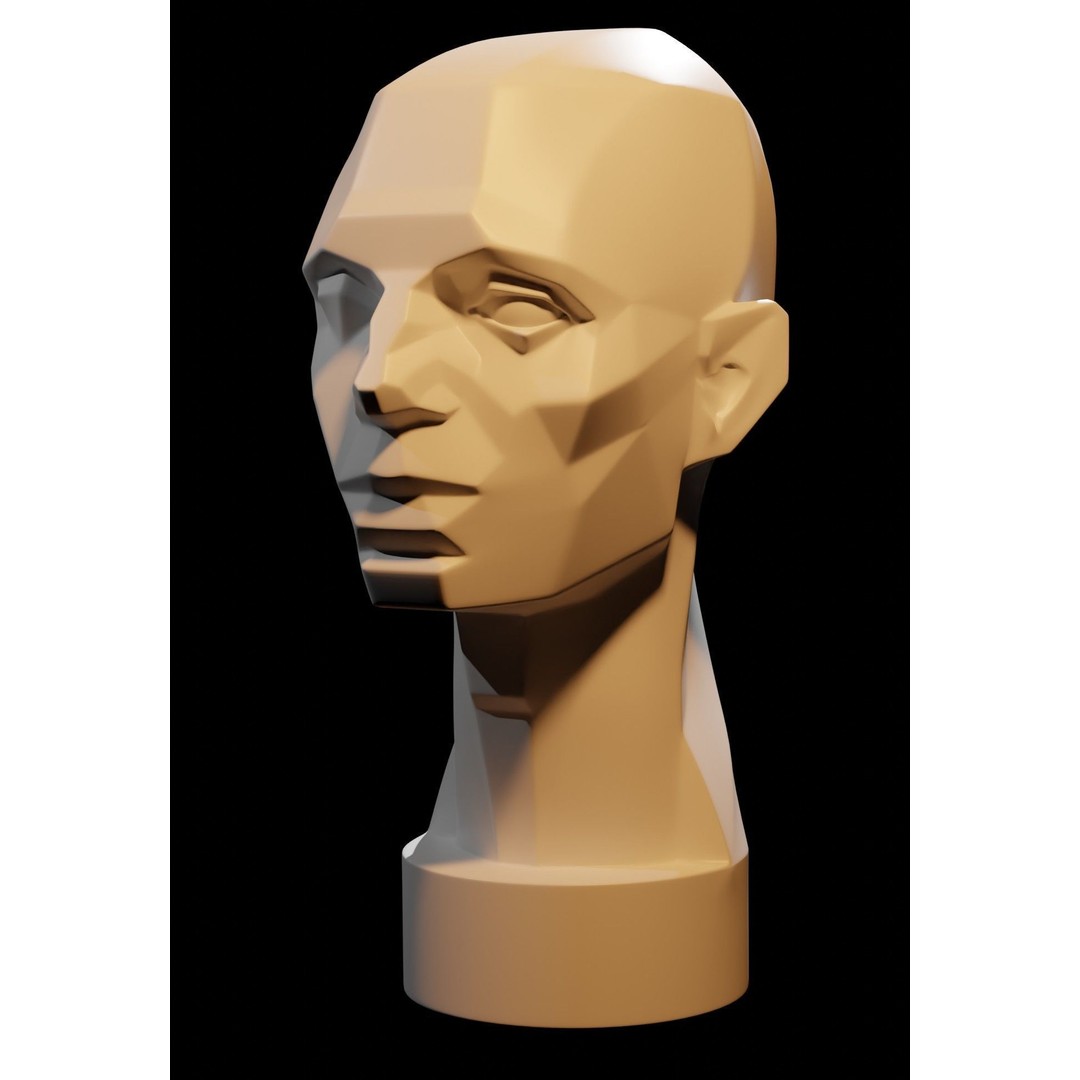 Asaro Heads Pack 3D Model – Anatomical Planes for Art Practice, Blender - View 4