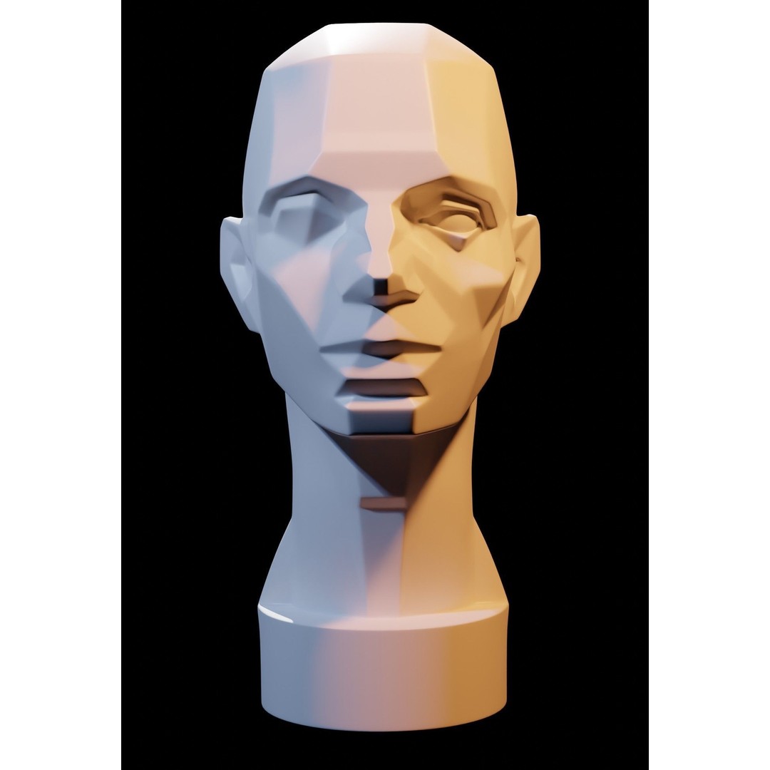 Asaro Heads Pack 3D Model – Anatomical Planes for Art Practice, Blender - View 5
