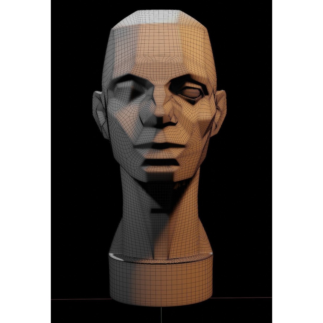 Asaro Heads Pack 3D Model – Anatomical Planes for Art Practice, Blender - View 6